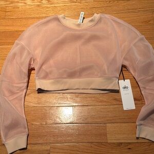 ALO Yoga Pink Sheer Long Sleeve Crop Top